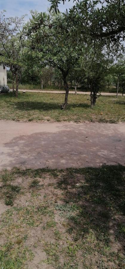 Moholoholo Lodge Acornhoek 外观 照片