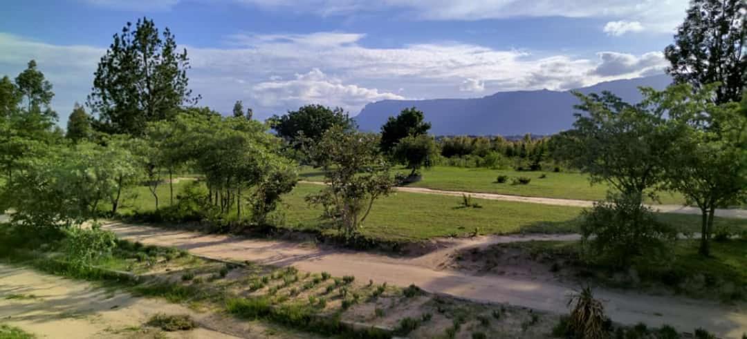 Moholoholo Lodge Acornhoek 外观 照片